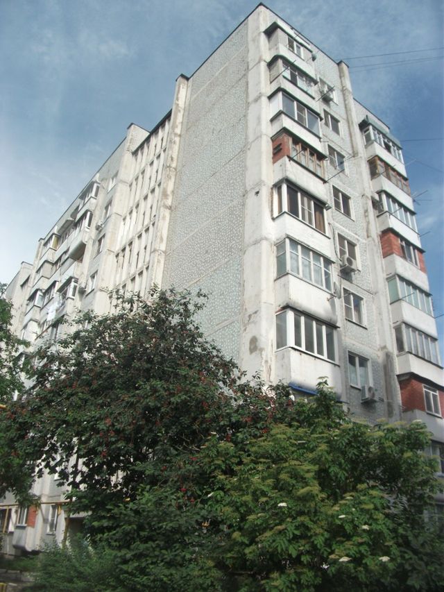 Панорама дома