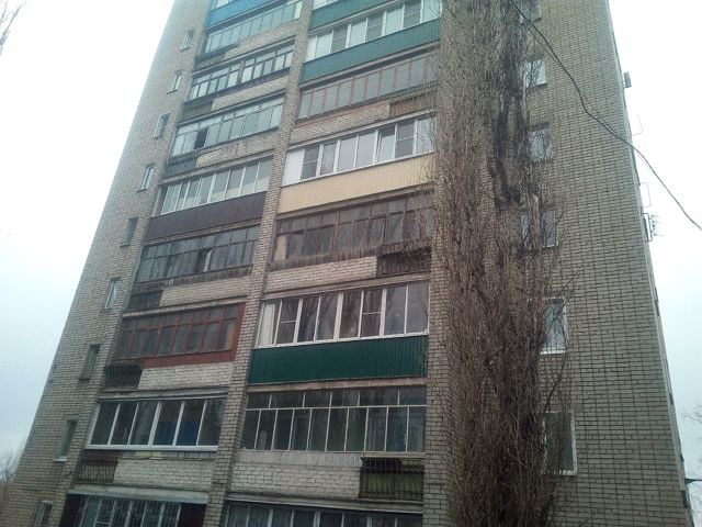 Панорама дома