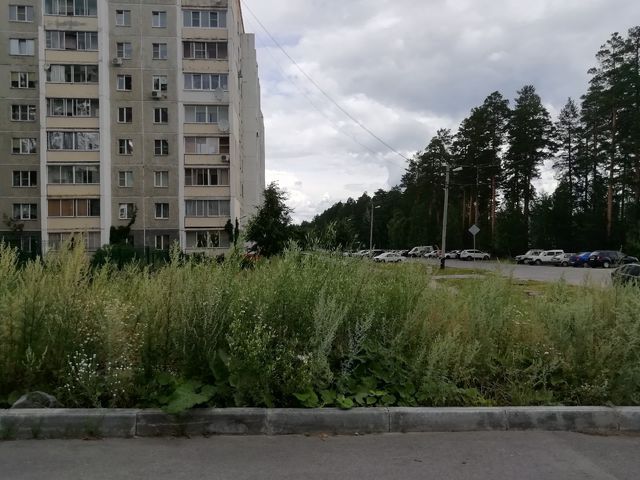 Territory
