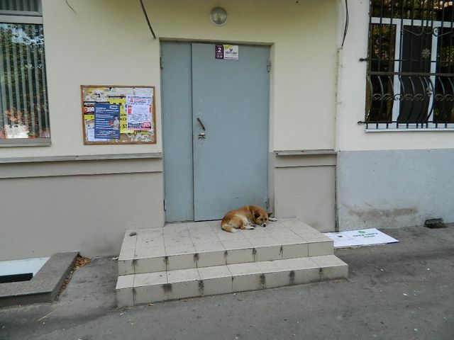 EntranceOutside