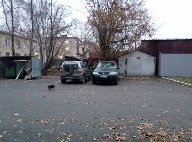 Territory