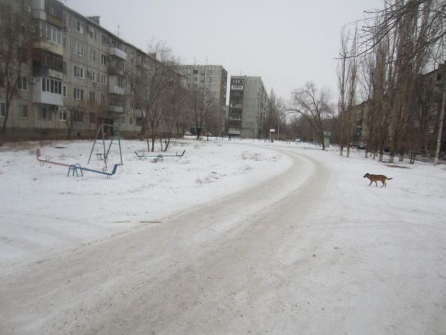 Territory