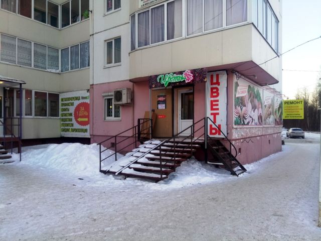 Панорама дома