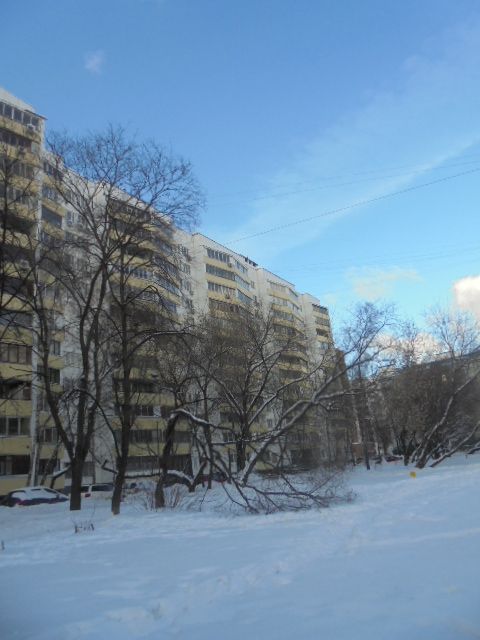 Панорама дома