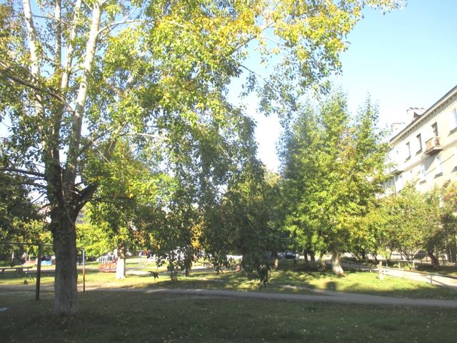 Territory