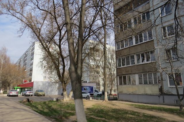 Панорама дома