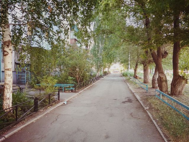 Territory
