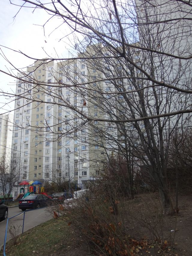 Панорама дома