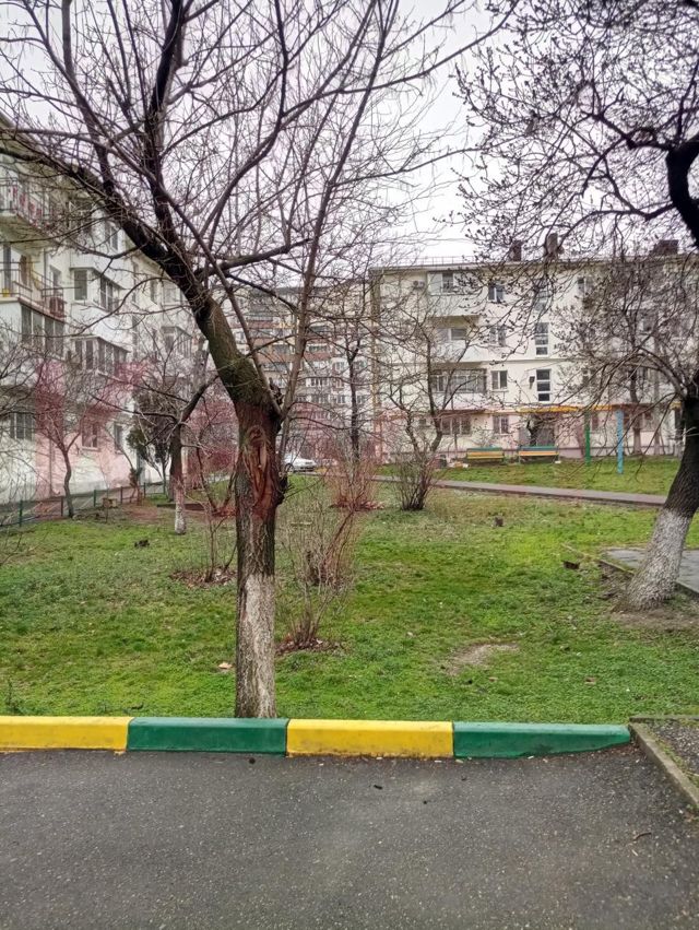 Territory