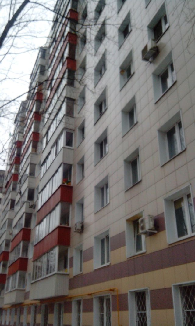 Панорама дома