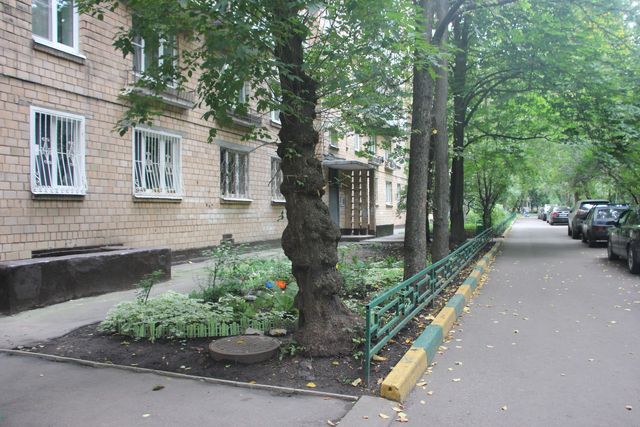 Territory