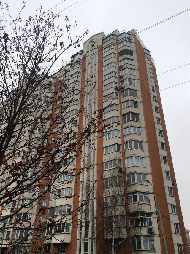 Панорама дома