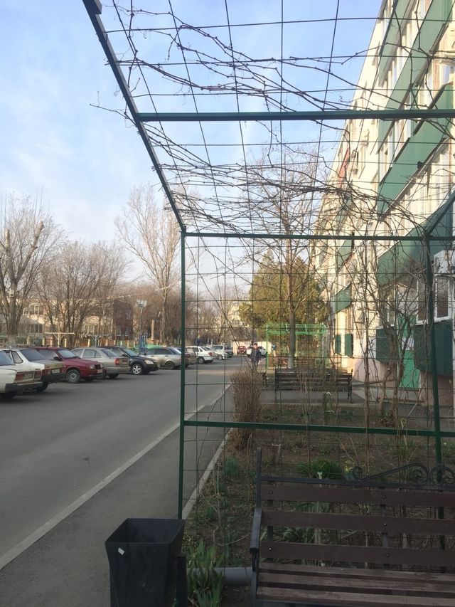 Territory