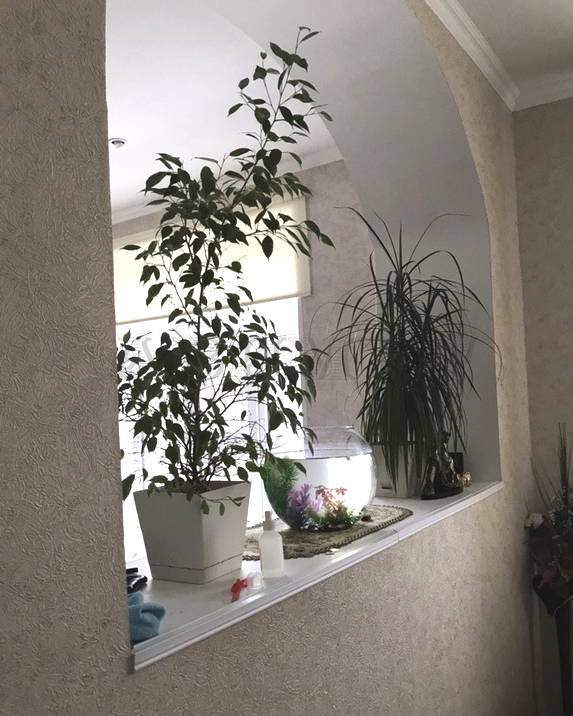 Панорама дома