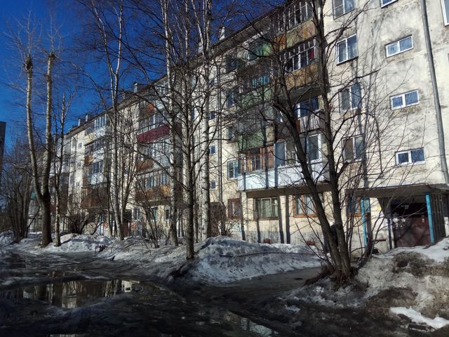 Панорама дома