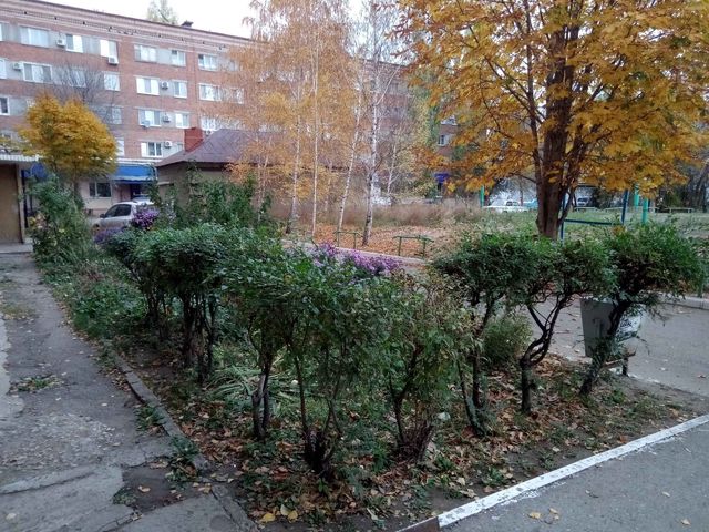 Territory