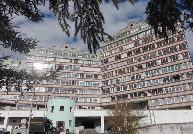 Панорама дома