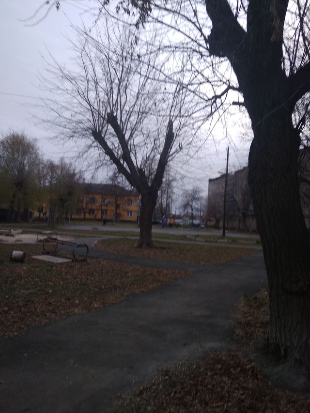 Territory