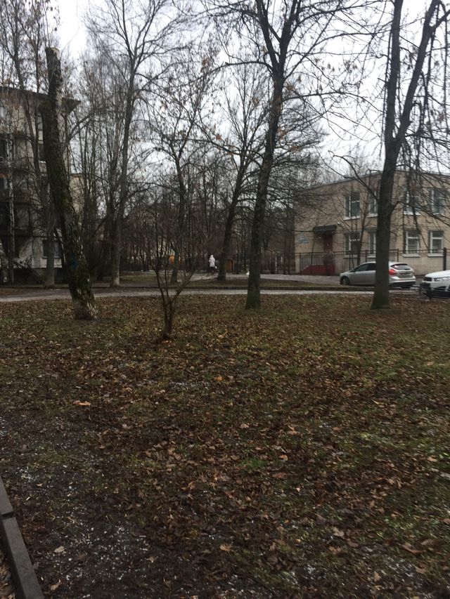 Territory