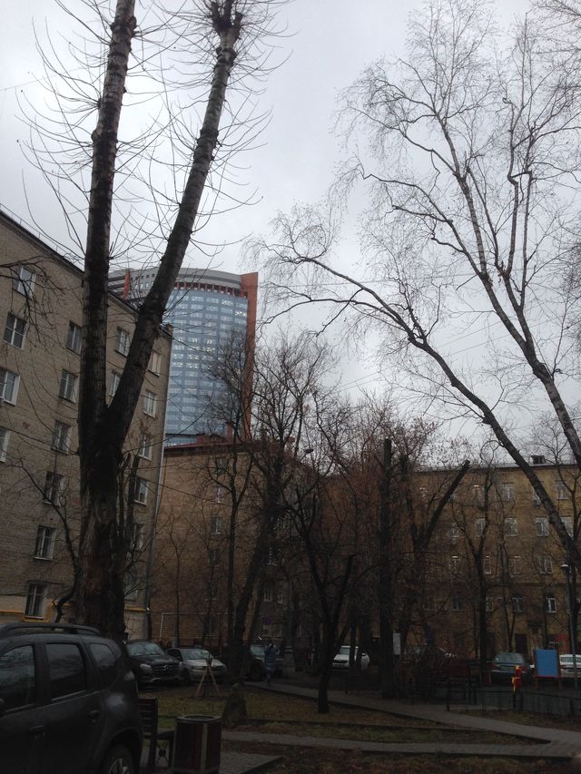 Панорама дома