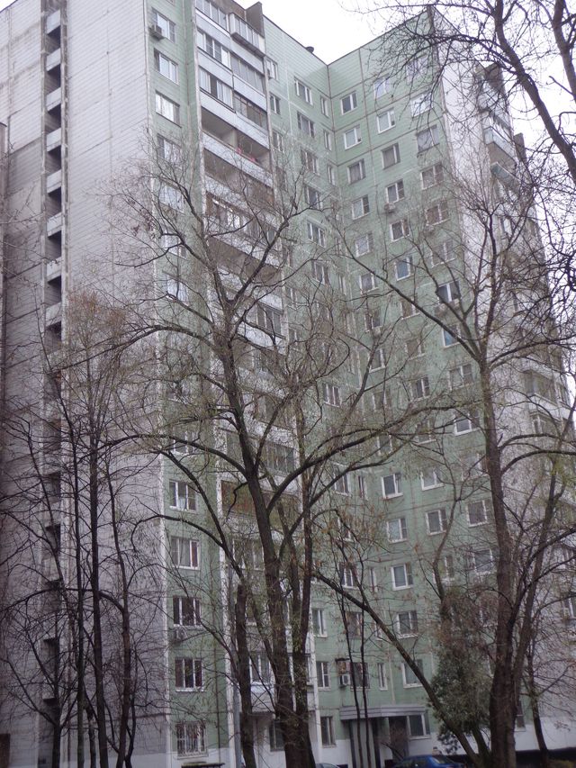 Панорама дома