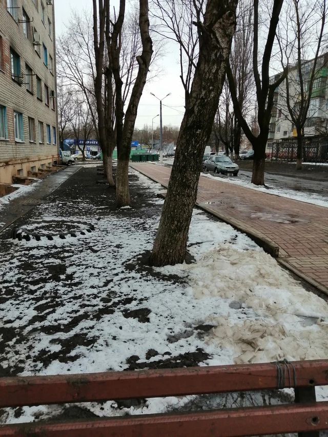 Territory