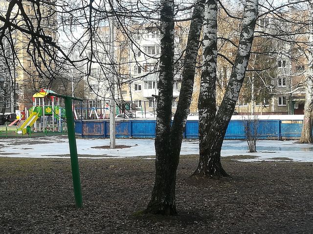 Territory