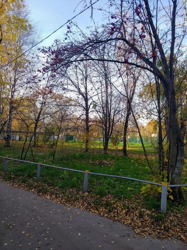 Territory