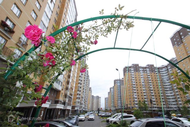 Панорама дома