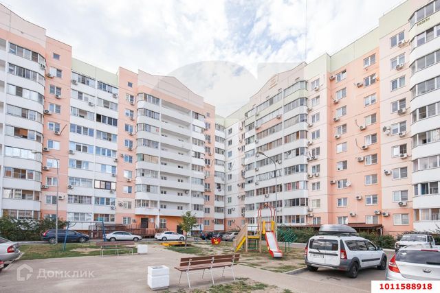 валерия гасия 