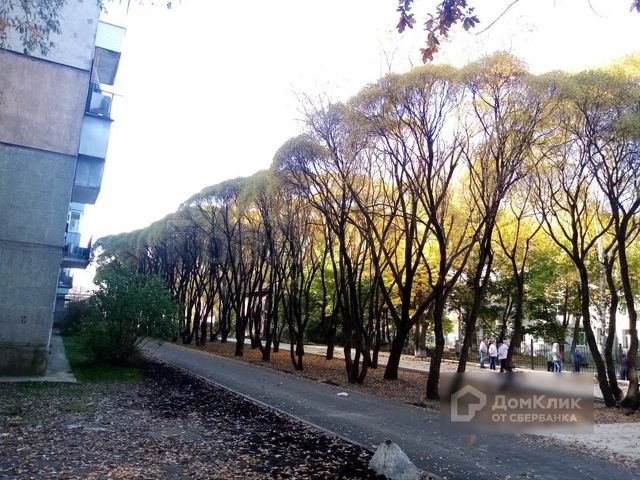Territory
