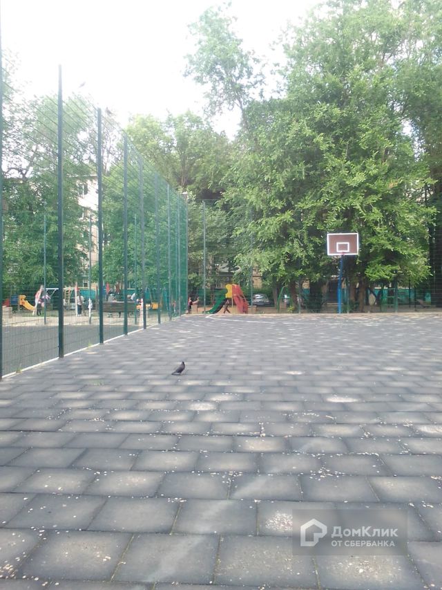 Territory