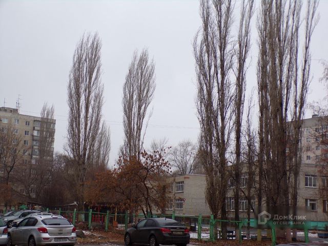 Territory