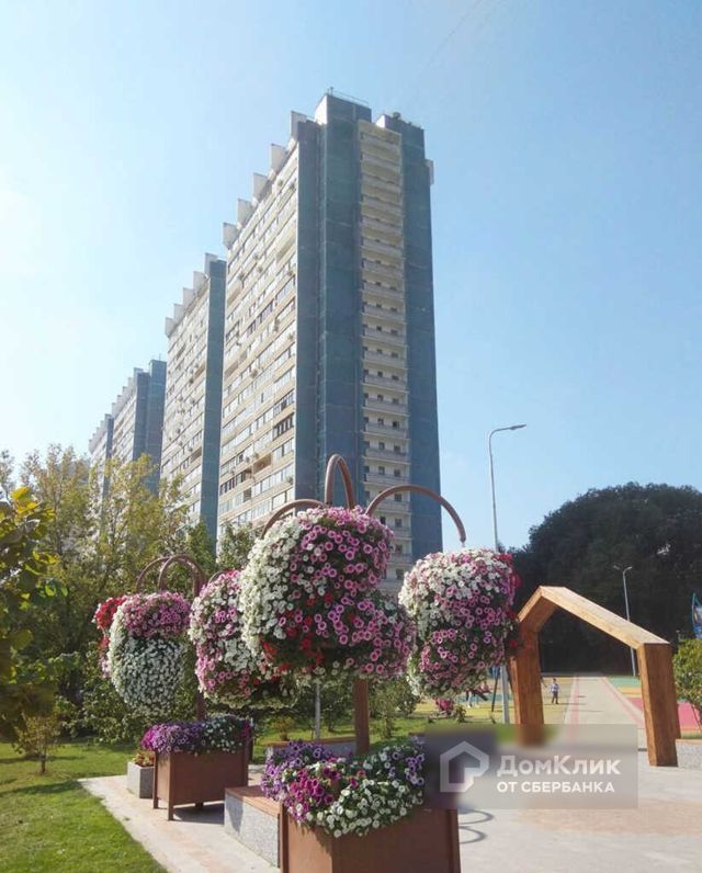 Панорама дома