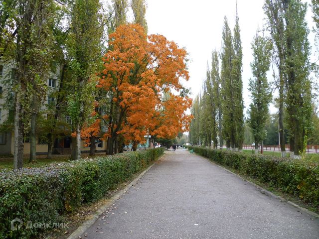 Territory