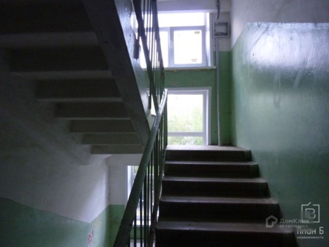 Ormonda yalangoch yigitlar video