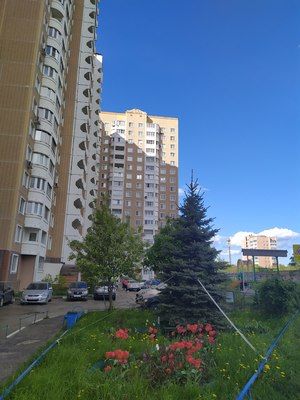 Territory