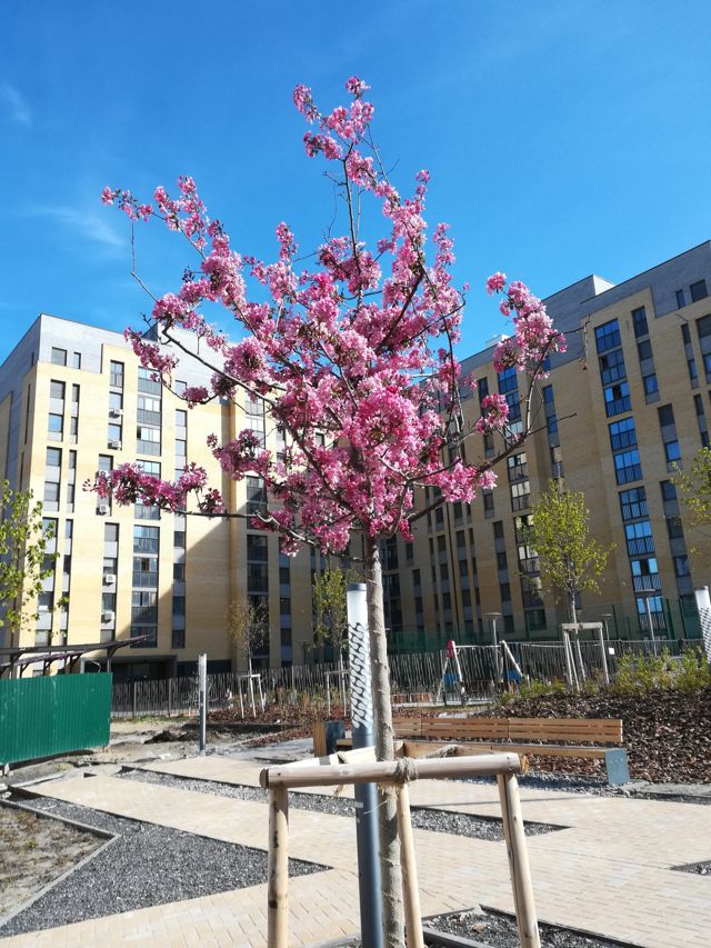 Панорама дома