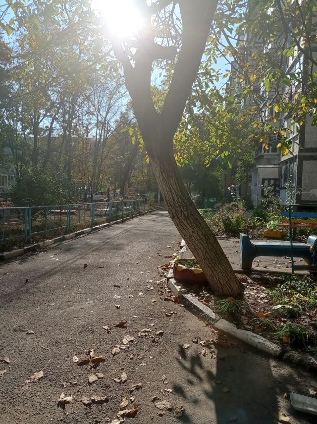 Territory