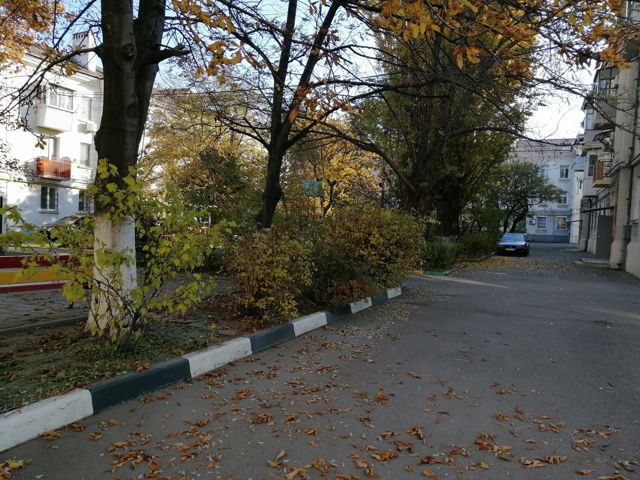 Territory