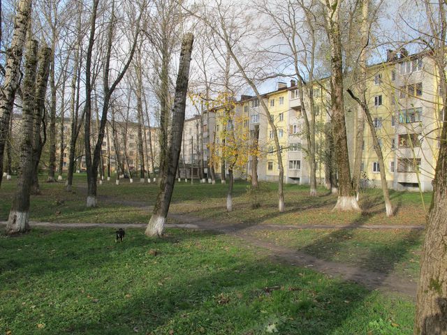 Territory