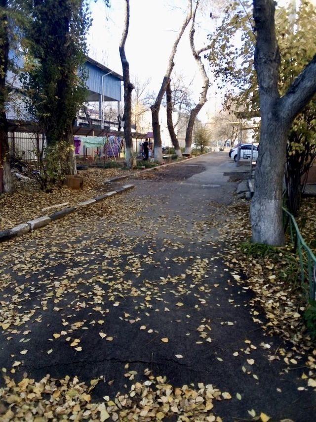 Territory