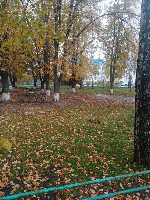 Territory