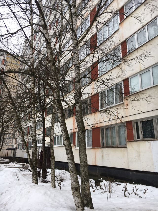 Панорама дома