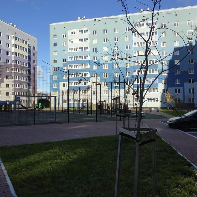 Territory