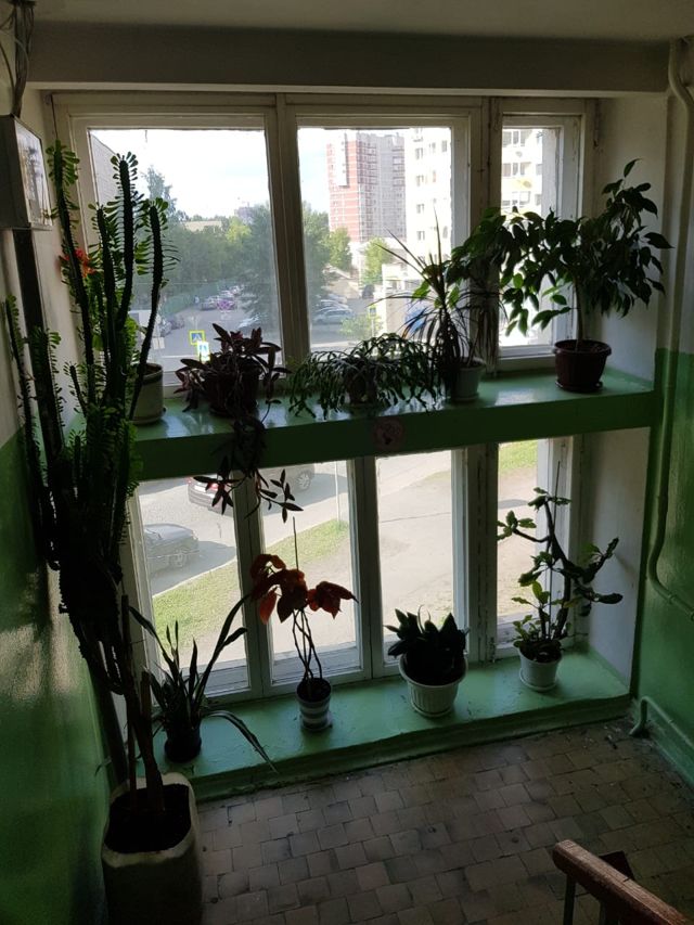EntranceInside