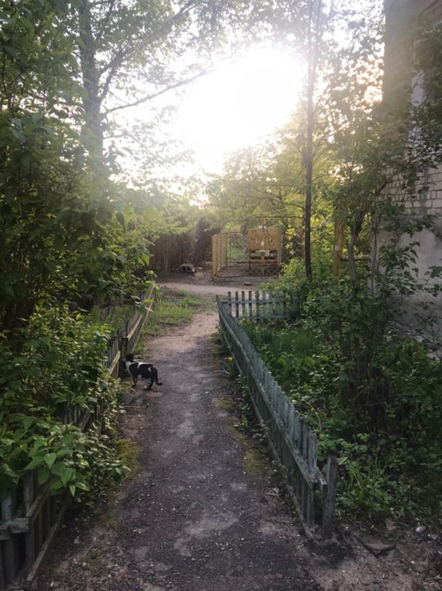 Territory