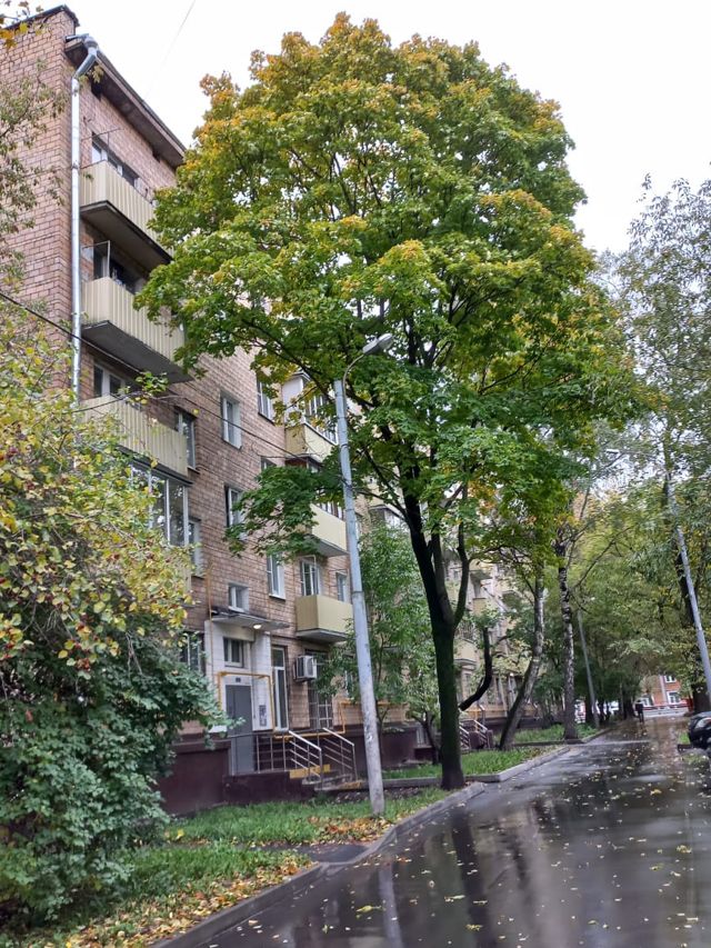 Facade
