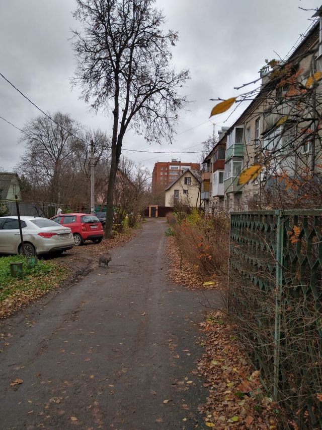 Territory