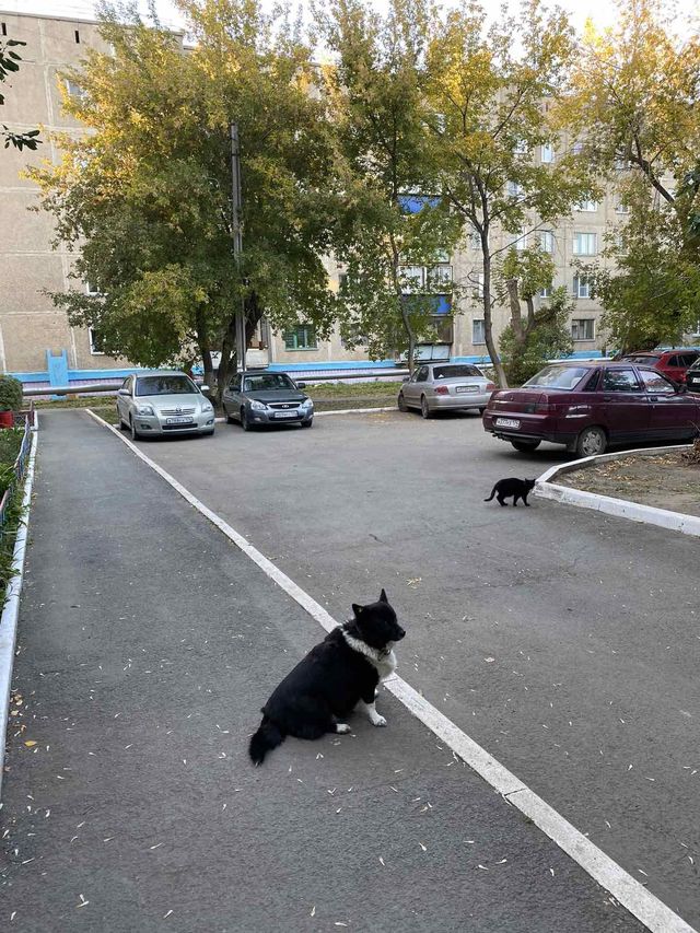 Territory